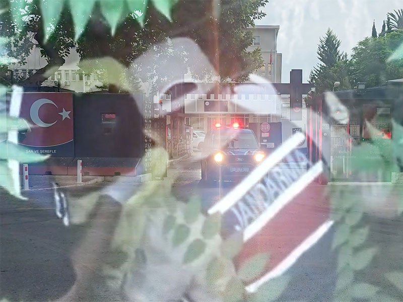 1000006177