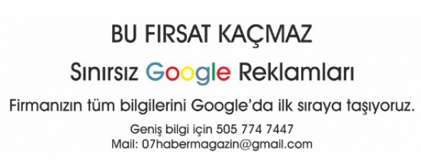 FENER SHAKESPEARE